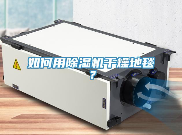 如何用除濕機干燥地毯？