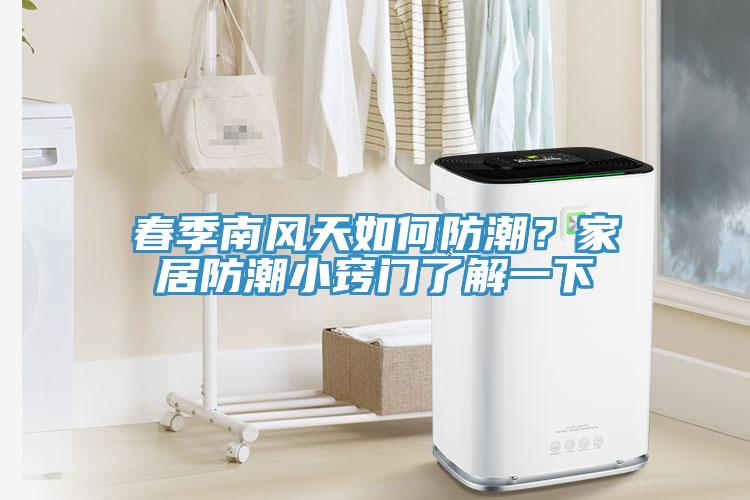春季南風(fēng)天如何防潮？家居防潮小竅門了解一下