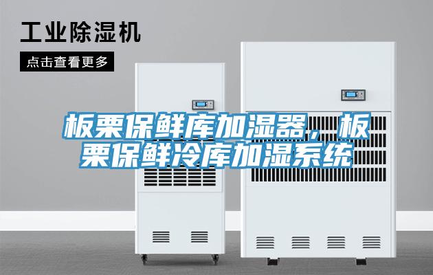 板栗保鮮庫加濕器，板栗保鮮冷庫加濕系統(tǒng)