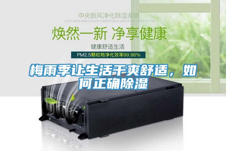 梅雨季讓生活干爽舒適，如何正確除濕
