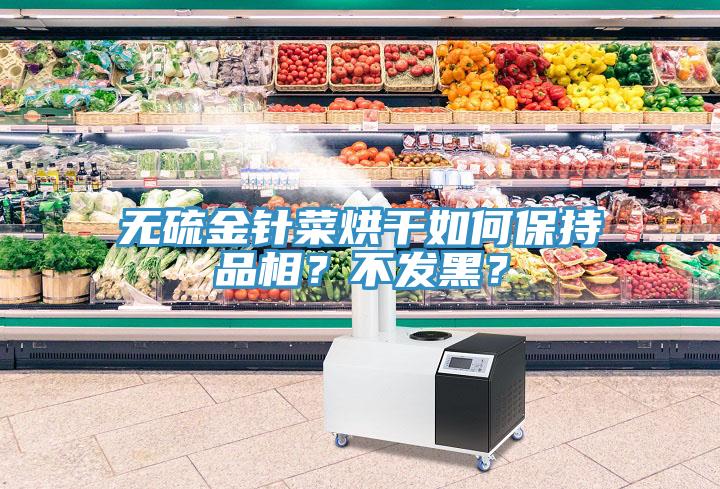 無硫金針菜烘干如何保持品相？不發(fā)黑？