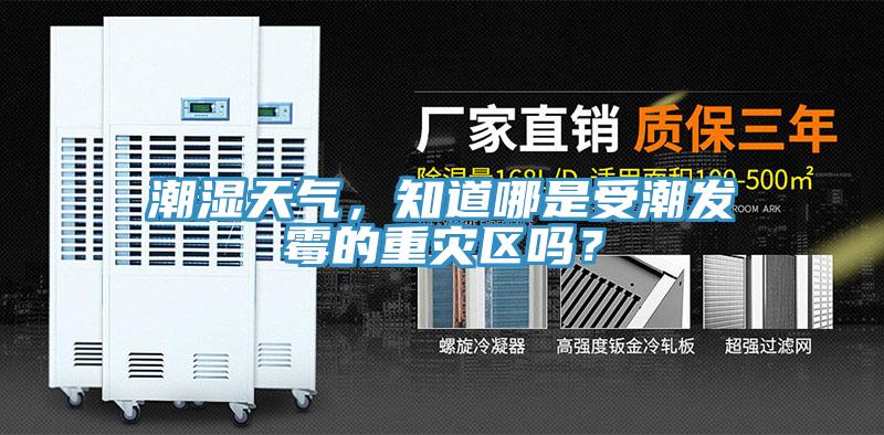潮濕天氣，知道哪是受潮發(fā)霉的重災區(qū)嗎？