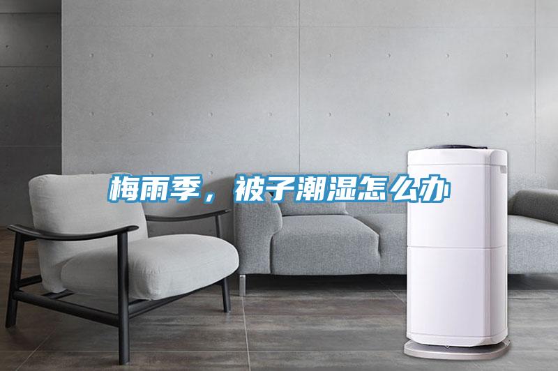 梅雨季，被子潮濕怎么辦