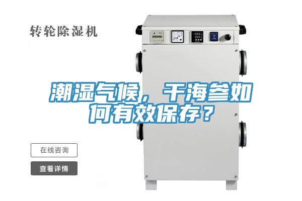 潮濕氣候，干海參如何有效保存？