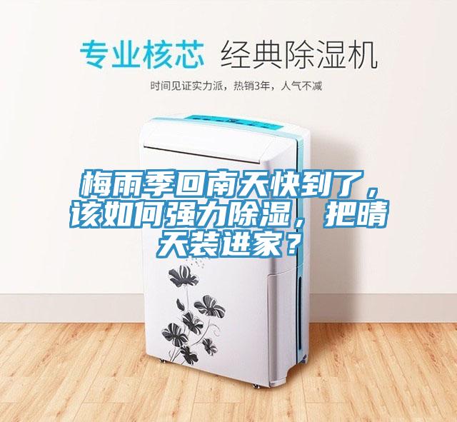 梅雨季回南天快到了，該如何強(qiáng)力除濕，把晴天裝進(jìn)家？