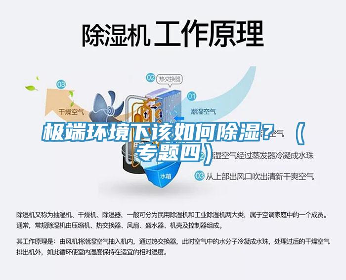 極端環(huán)境下該如何除濕？（專題四）