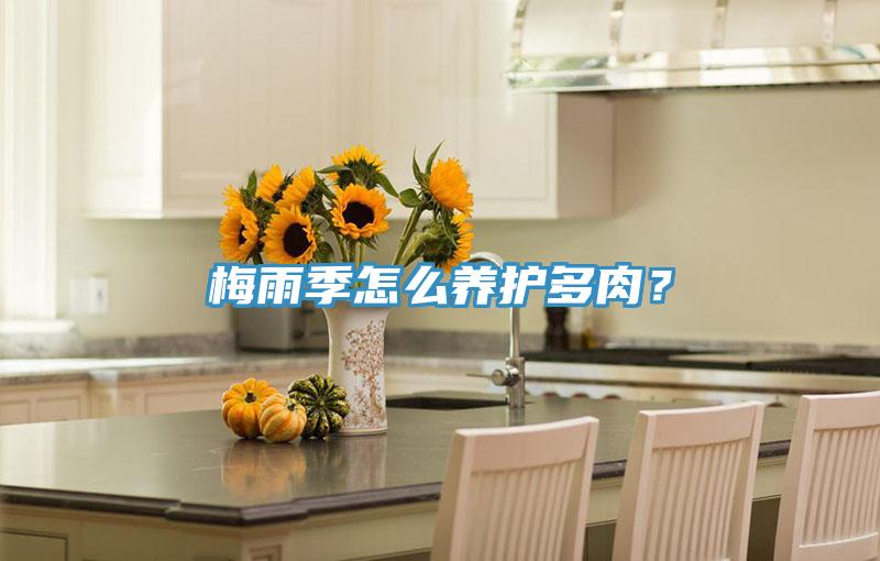 梅雨季怎么養(yǎng)護多肉？
