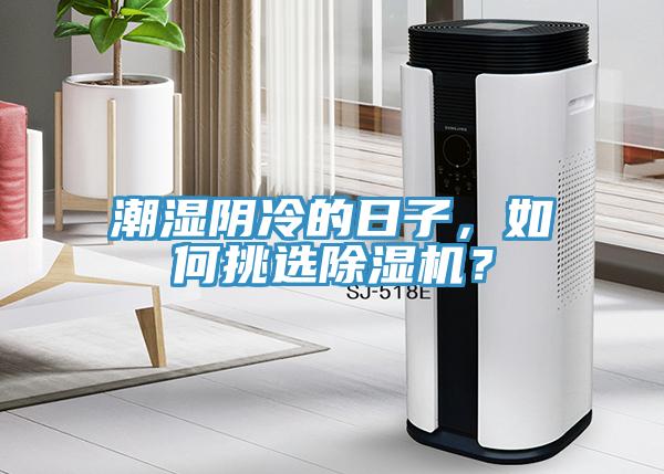 潮濕陰冷的日子，如何挑選除濕機(jī)？