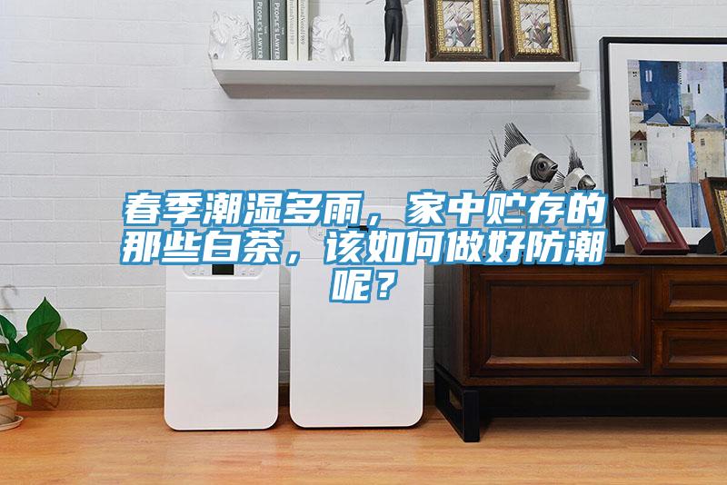 春季潮濕多雨，家中貯存的那些白茶，該如何做好防潮呢？