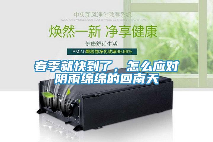 春季就快到了，怎么應(yīng)對(duì)陰雨綿綿的回南天