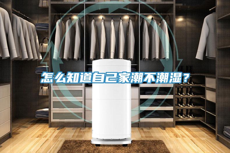 怎么知道自己家潮不潮濕？