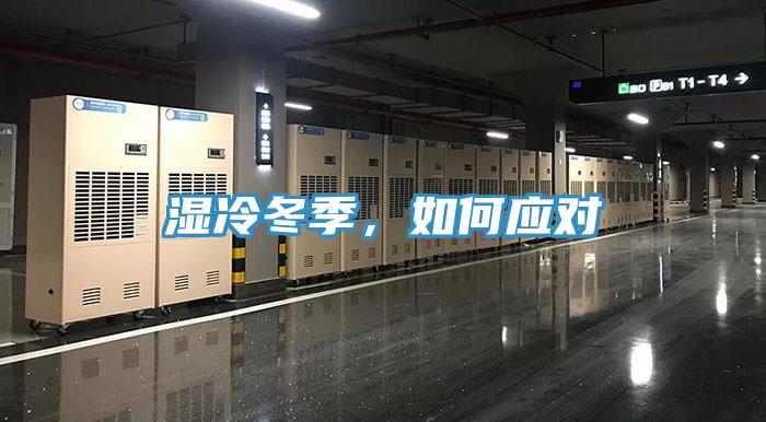 濕冷冬季，如何應(yīng)對(duì)