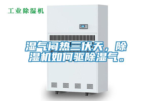 濕氣悶熱三伏天，除濕機如何驅(qū)除濕氣。