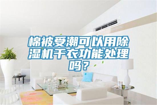 棉被受潮可以用除濕機干衣功能處理嗎？