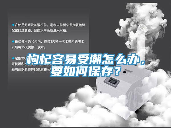 枸杞容易受潮怎么辦，要如何保存？