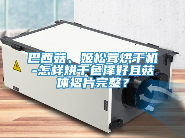 巴西菇、姬松茸烘干機(jī)-怎樣烘干色澤好且菇體褶片完整？