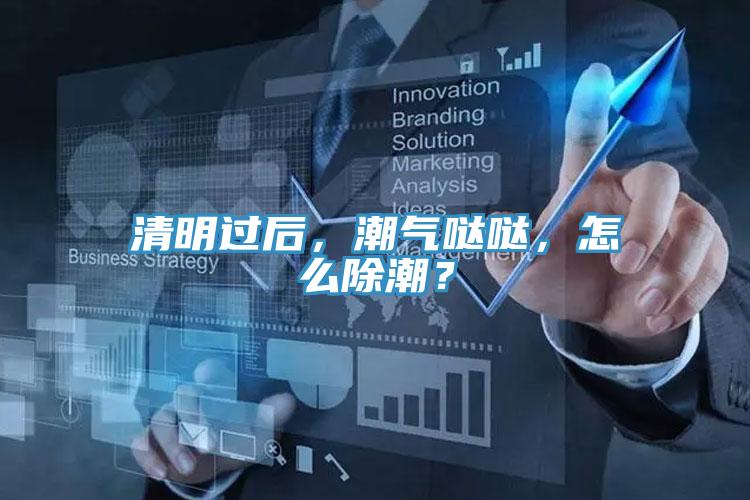 清明過(guò)后，潮氣噠噠，怎么除潮？