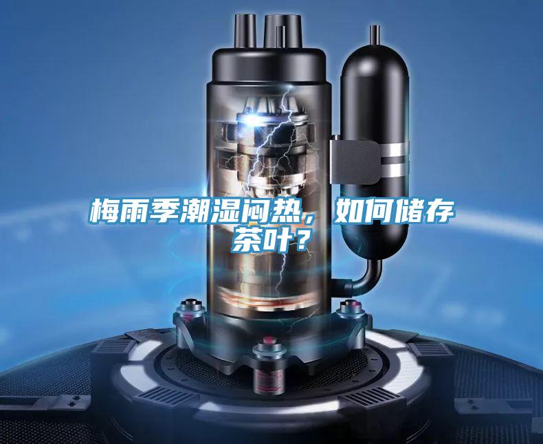 梅雨季潮濕悶熱，如何儲(chǔ)存茶葉？