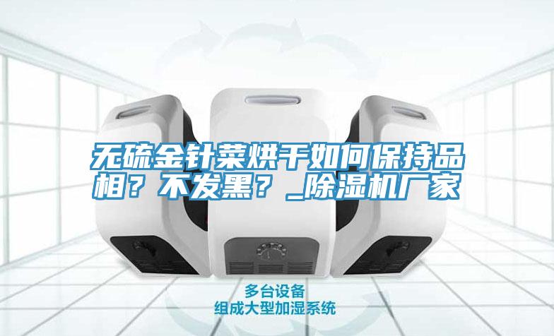 無(wú)硫金針菜烘干如何保持品相？不發(fā)黑？_除濕機(jī)廠家