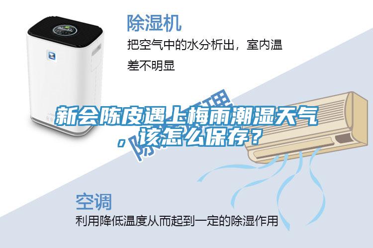 新會(huì)陳皮遇上梅雨潮濕天氣，該怎么保存？