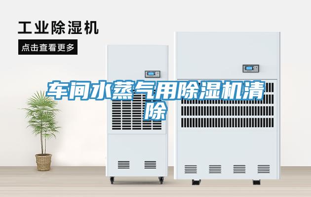 車(chē)間水蒸氣用除濕機(jī)清除