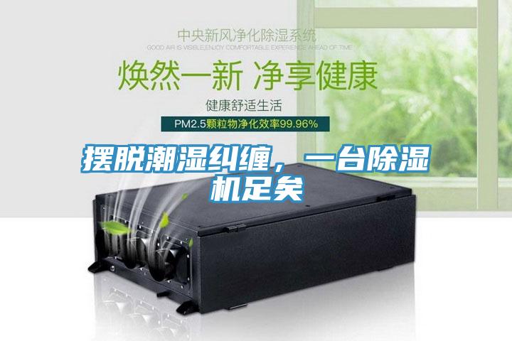 擺脫潮濕糾纏，一臺除濕機(jī)足矣