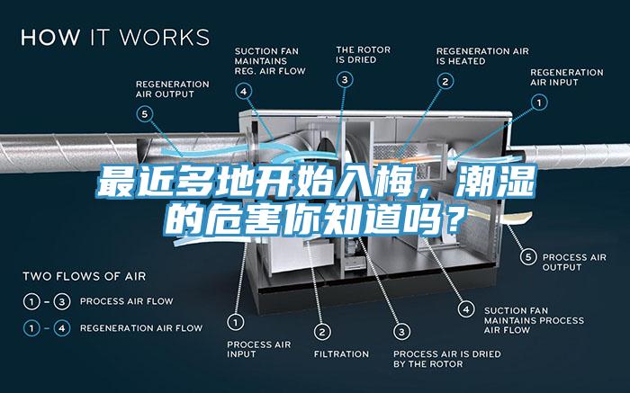 最近多地開始入梅，潮濕的危害你知道嗎？