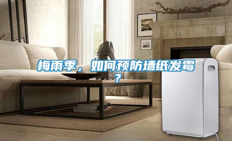 梅雨季，如何預(yù)防墻紙發(fā)霉？