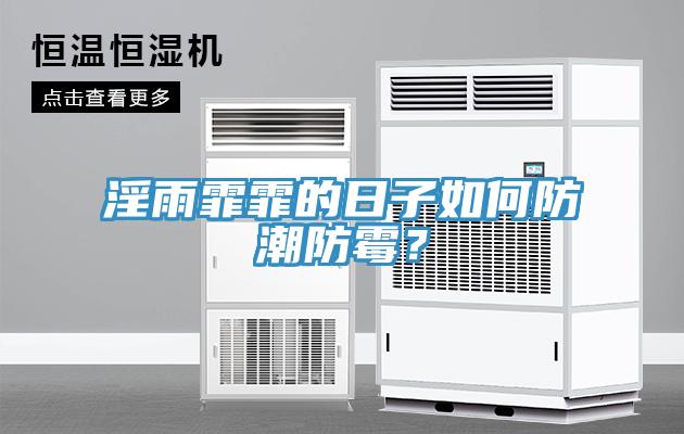 淫雨霏霏的日子如何防潮防霉？