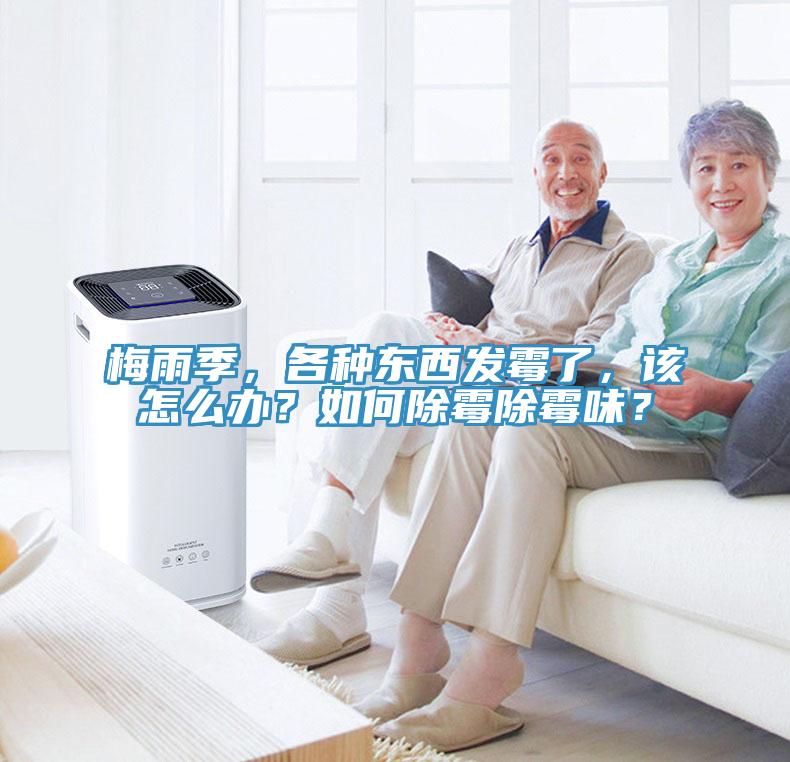 梅雨季，各種東西發(fā)霉了，該怎么辦？如何除霉除霉味？