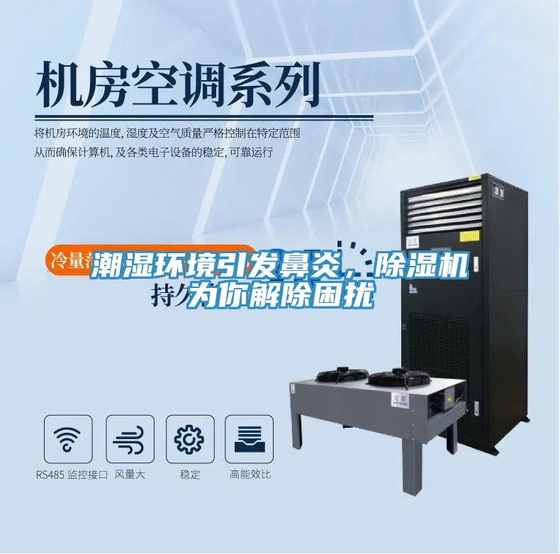 潮濕環(huán)境引發(fā)鼻炎，除濕機為你解除困擾