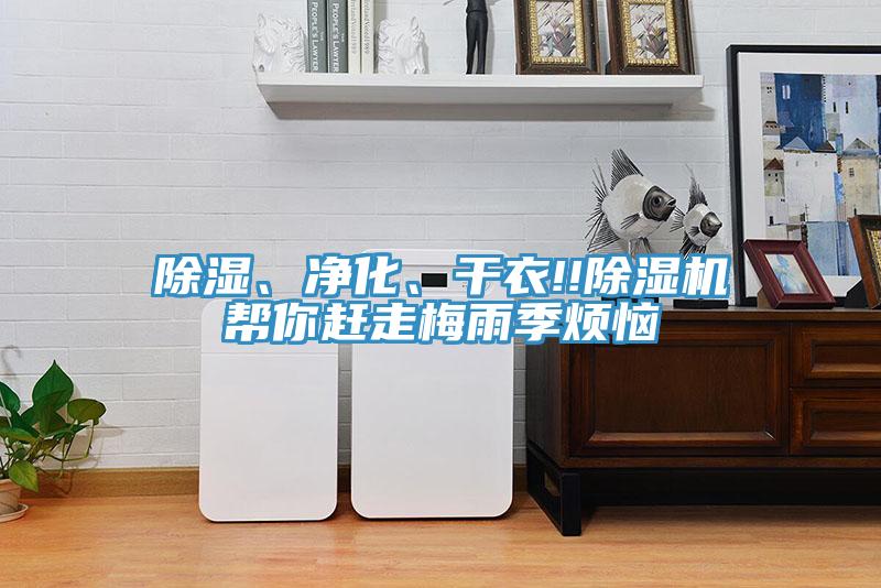 除濕、凈化、干衣!!除濕機幫你趕走梅雨季煩惱