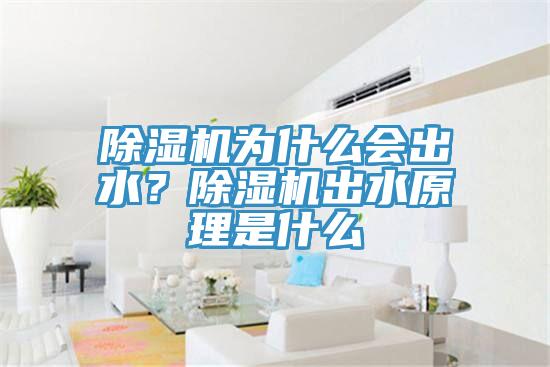 除濕機為什么會出水？除濕機出水原理是什么