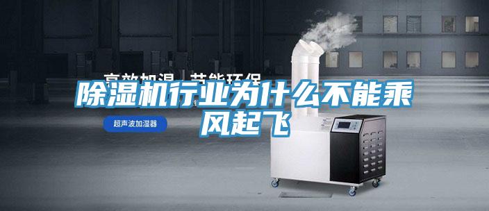 除濕機行業(yè)為什么不能乘風起飛