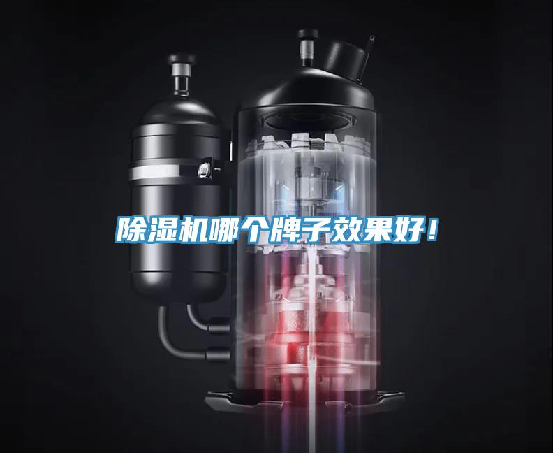 除濕機(jī)哪個(gè)牌子效果好！