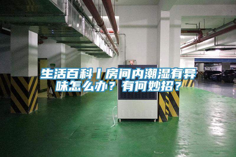 生活百科丨房間內(nèi)潮濕有異味怎么辦？有何妙招？