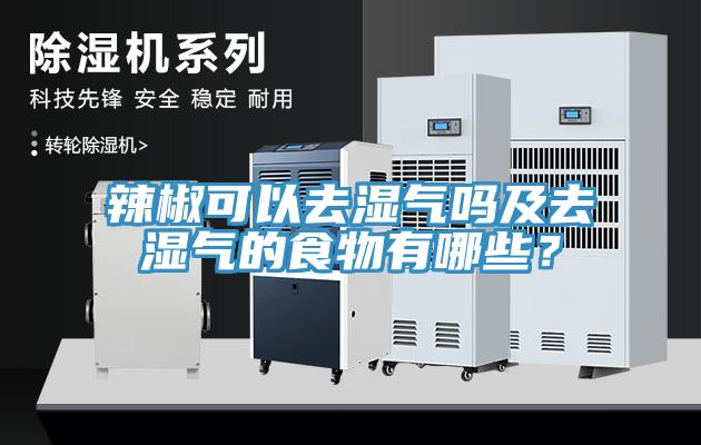 辣椒可以去濕氣嗎及去濕氣的食物有哪些？