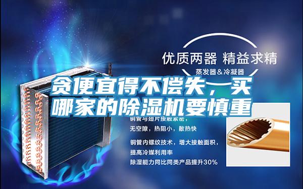 貪便宜得不償失，買哪家的除濕機要慎重
