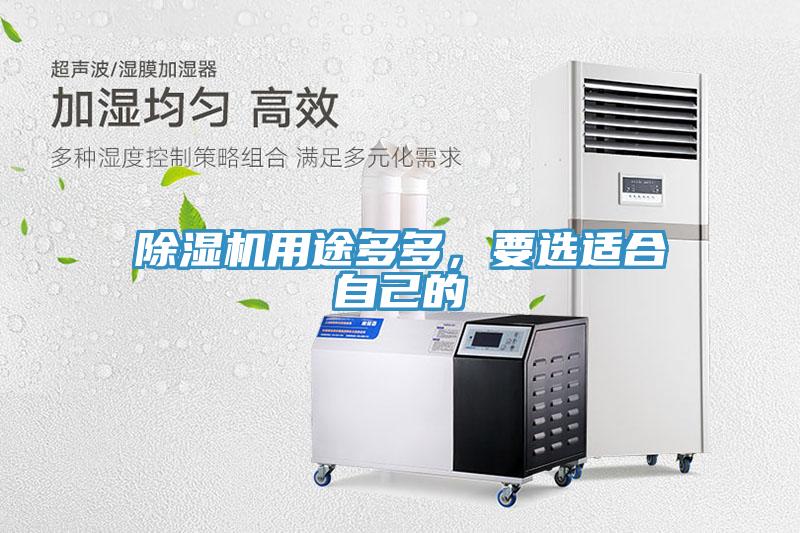 除濕機用途多多，要選適合自己的