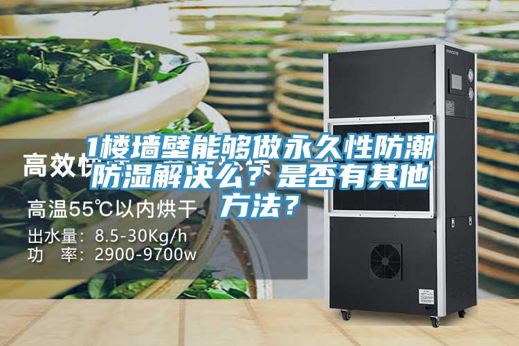 1樓墻壁能夠做永久性防潮防濕解決么？是否有其他方法？