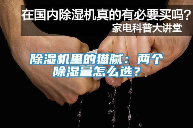 除濕機(jī)里的貓膩：兩個除濕量怎么選？