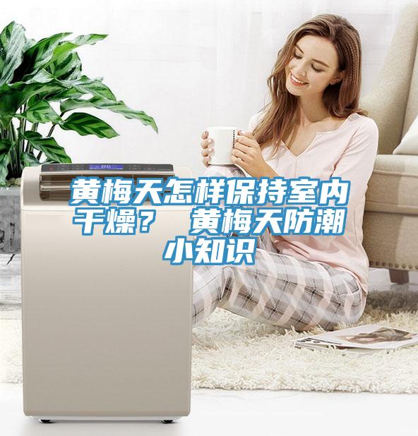 黃梅天怎樣保持室內(nèi)干燥？ 黃梅天防潮小知識(shí)
