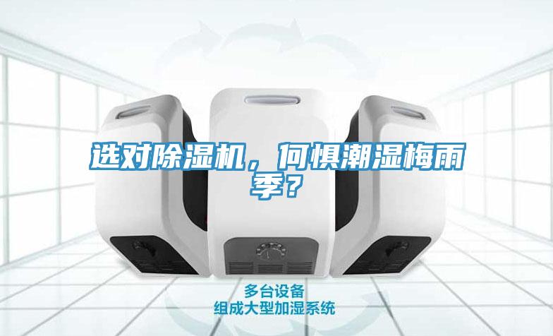 選對除濕機，何懼潮濕梅雨季？