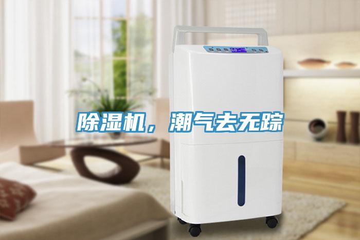 除濕機，潮氣去無蹤