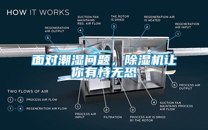 面對潮濕問題，除濕機(jī)讓你有恃無恐