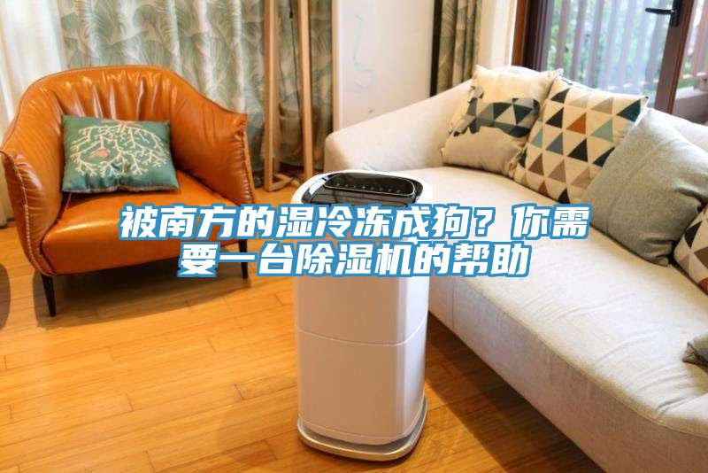 被南方的濕冷凍成狗？你需要一臺(tái)除濕機(jī)的幫助