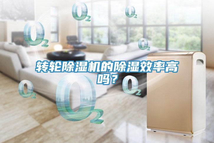 轉輪除濕機的除濕效率高嗎？