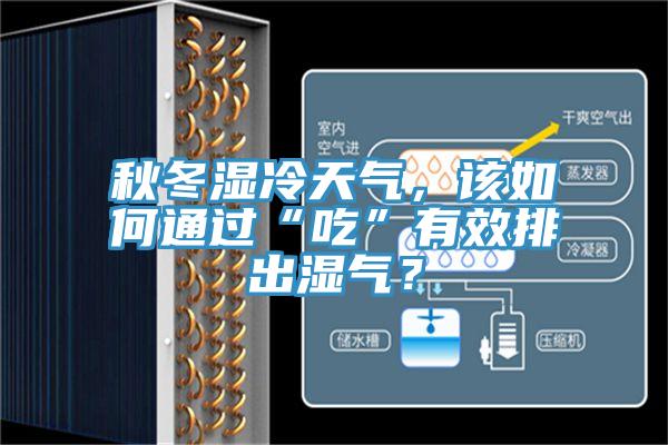 秋冬濕冷天氣，該如何通過“吃”有效排出濕氣？