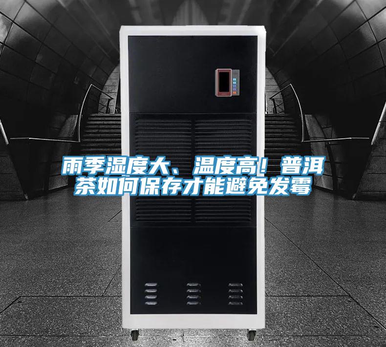 雨季濕度大、溫度高！普洱茶如何保存才能避免發(fā)霉