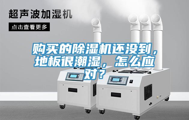 購買的除濕機(jī)還沒到，地板很潮濕，怎么應(yīng)對(duì)？